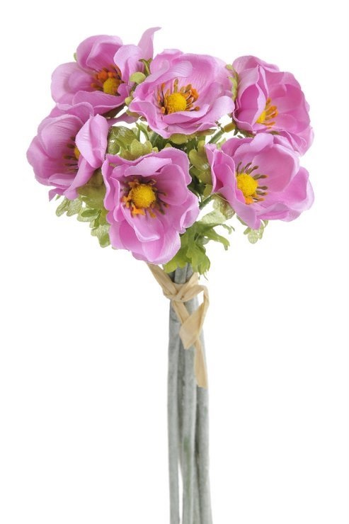 anemon (6ks) - růžová orchid